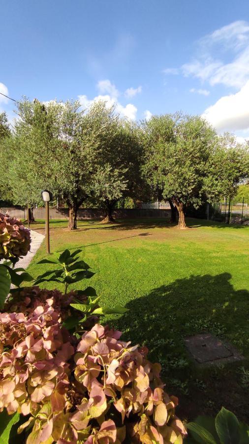 Gli Ulivi Rooms Lucca Dış mekan fotoğraf